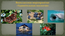 Внеклассное мероприятие Удивительная зоология (7 - е классы)