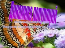 Урок по теме: Динамика популяций
