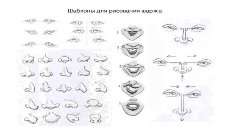 Как рисовать карикатуры для начинающих пошагово