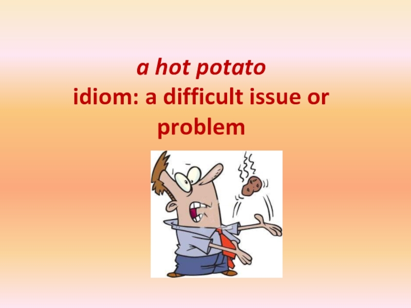 a hot potato  idiom: a difficult issue or problem