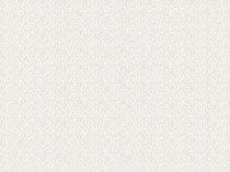 Презентация к выступлению на РМО учителей начальных классов Проектная деятельность региональной направленности