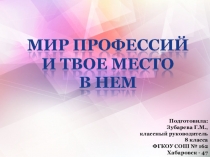 ПРезентация к родительскому собранию на тему Мир профессий и твое место в нем (8 класс)