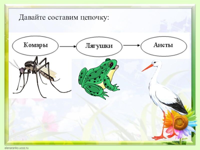 Цепь питания 3 класс схема окружающий мир 3 класс