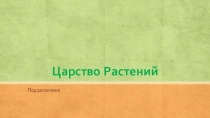Презентация по теме Царство растений