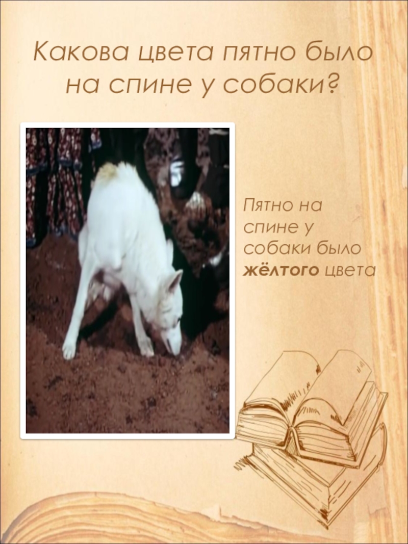 Какова цвета пятно было на спине у собаки?Пятно на спине у собаки было жёлтого цвета