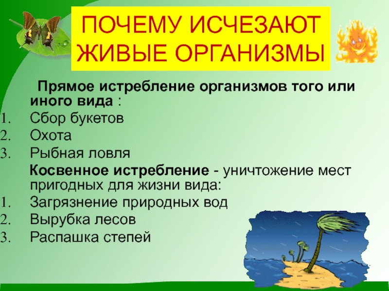 Презентация биология 5 класс важность охраны живого мира планеты 5 класс