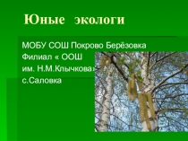 Презентация по биологии на тему Влияние человека на окружающий мир