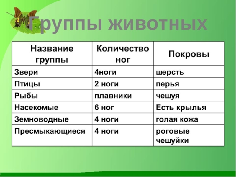 Окружающий мир какие бывают животные 2 класс презентация