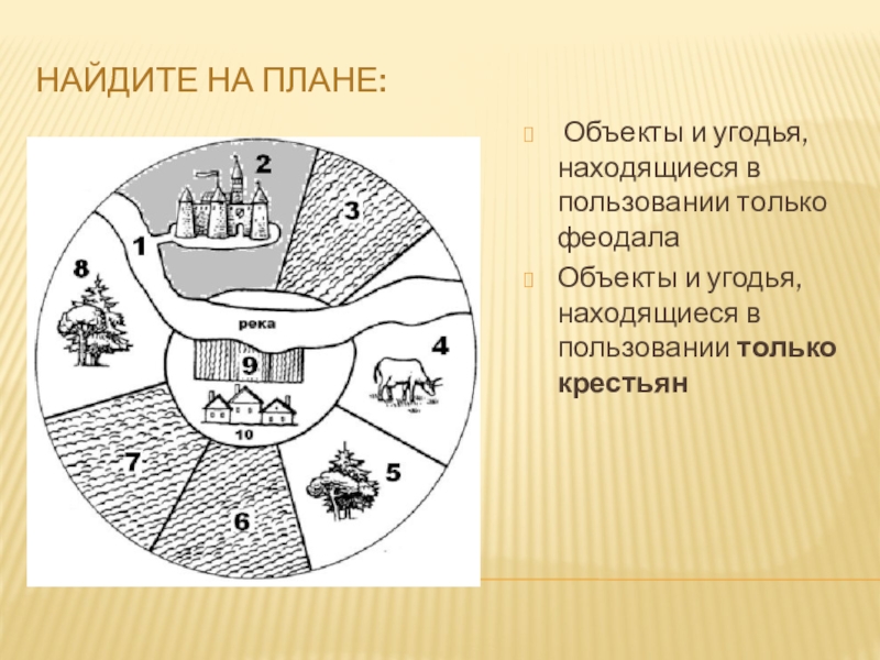 Начертите план феодального поместья