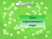 Презентация к уроку окружающего мира Ягодная полянка