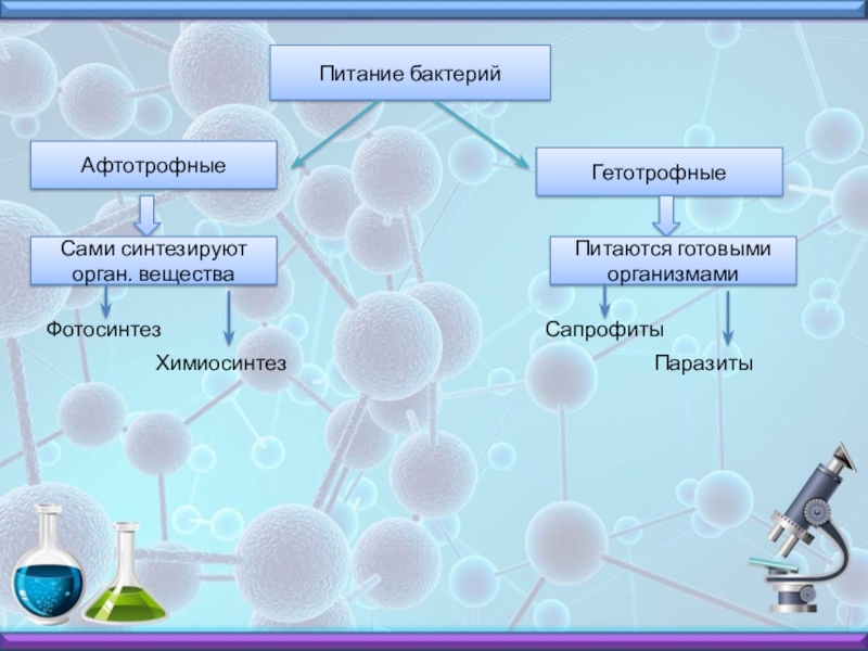 Орган вещества. Органические вещества бактерий. Бактерии питающиеся готовыми орган соединения. Микроорганизмы питаются белками. Синтезируют питательные вещества и питаются готовыми.