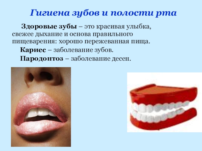 Здоровые зубы – это красивая улыбка, свежее дыхание и основа правильного пищеварения: хорошо пережеванная пища.Кариес –