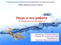 Презентация к исследовательскому проекту по окружающему миру на тему Уксус и его работа.Автор: Егорова Карина. Руководитель: Никулина Л.А.