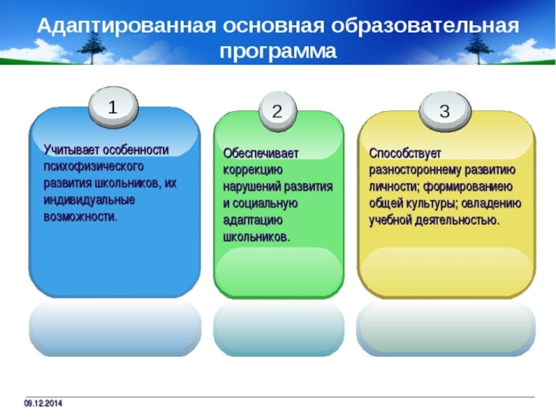 Какая функция образования выдвигается в адаптированной образовательной программе на первый план