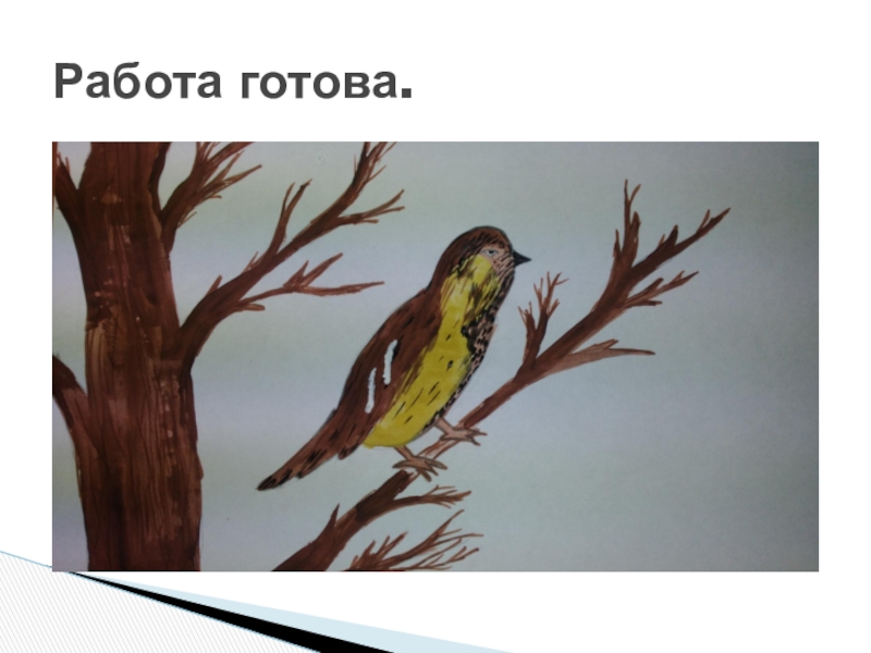 Птички изо 2 класс презентация школа россии