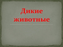 Презентация к обобщающему занятию по внеурочной деятельности Земля наш дом по теме: Животные