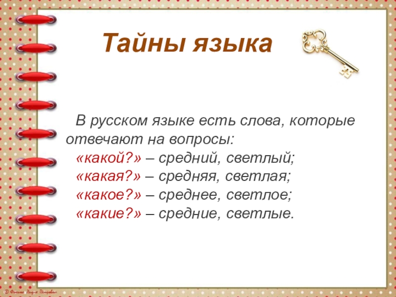 Слова которые отвечают на вопросы какой какая какое какие презентация