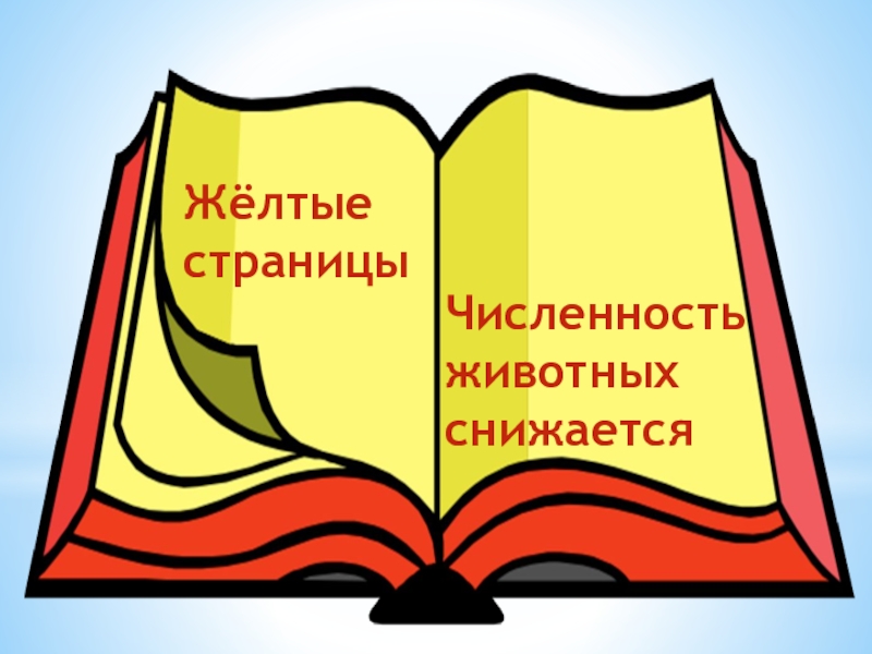 Желтые страницы красной. Жёлтые страницы - численность снижается. Метод желтые страницы.