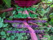 Влияние органических и минеральных удобрений на урожайность свёклы.