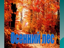 Презентация к уроку ИЗО Осенний лес