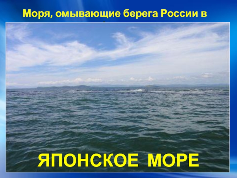 Какое море омывающее россию самое большое. Моря омывающие Россию. Моря омывающие берега России. Моря Тихого океана омывающие Россию. Моря омывающие РРО ссию.