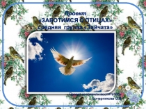 Презентация проекта Заботимся о птицах