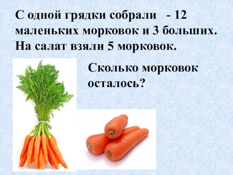 Сколько гр морковь. Морковь сколько. Пять морковок. Большие и маленькие Марковки. 6 Морковок.