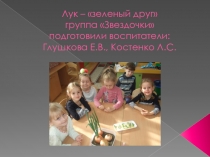 Урок, презентация, Опыт и эксперименты с луком