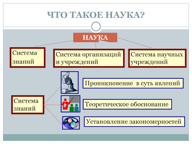 Институты науки обществознание