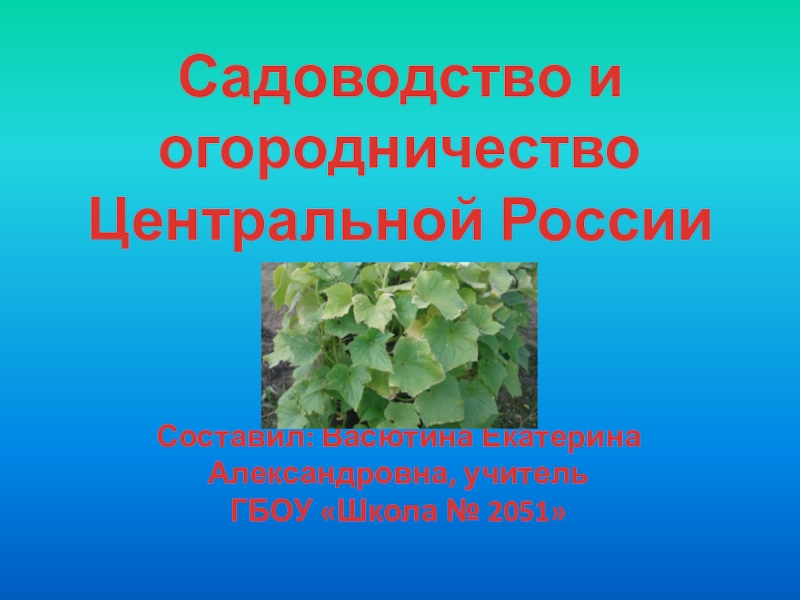 Презентация по географии Садоводство и огородничество Центральной России