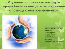 Изучение состояния атмосферыгорода Алейска методом биоиндикации с помощью ели обыкновенной