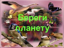 Презентация к мероприятию Мотылёк и Капелька