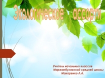 Презентация к внеклассному мероприятию Экологическое ассорти (2 класс)