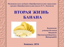 Презентация исследовательской работы по теме: Вторая жизнь банана