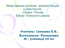 Лекарственные растения и их использование