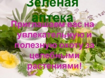 Внеурочное мероприятие во 2 класса Зеленая аптека с презентацией