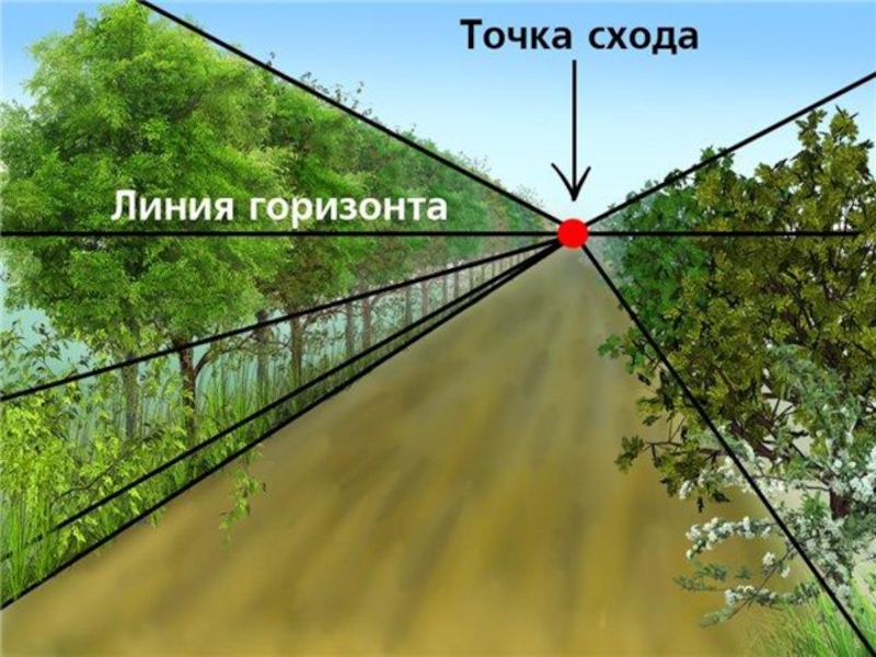 Где на изображении должны сходиться параллельные линии