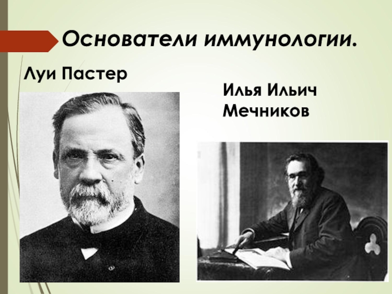 пастер иммунология. луи пастер вклад в иммунологию. луи пастер вклад в микробиологию. луи пастер (1822-1895). пастер основоположник микробиологии.