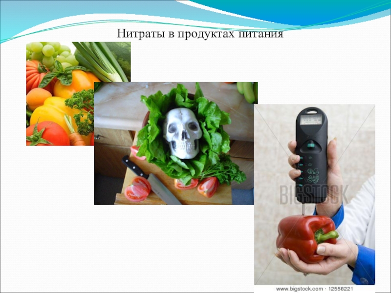 Проект влияние на здоровье человека нитратов и нитритов содержащихся в продуктах питания