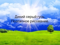 Дикий серый гусь. Поэтапное рисование.