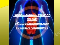 Презентация по теме Пищеварительная система человека