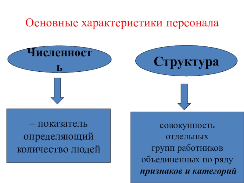 Основные характеристики персоналаЧисленность– показатель определяющий количество людейСтруктурасовокупность отдельных групп работников объединенных по ряду признаков и категорий