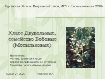 Презентация по биологии на тему Класс Двудольные. Семейство Бобовые (6 класс)