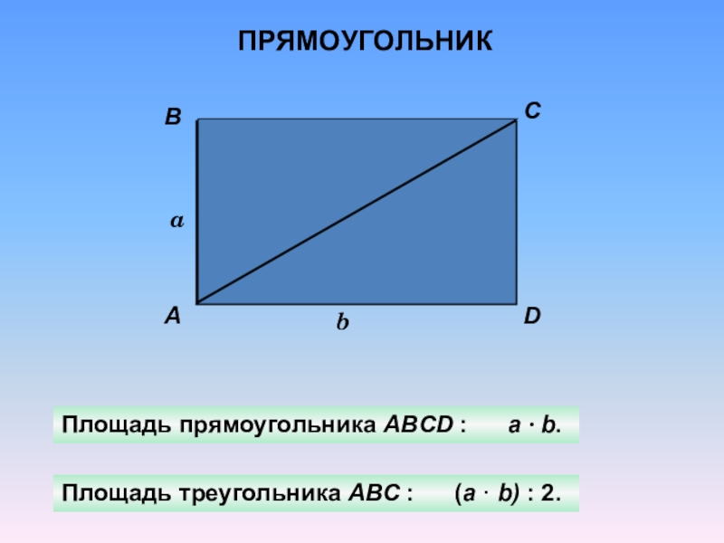 Сумма прямоугольника. Площадь прямоугольника. Площадь прямоугольника 5 класс. Площадь прямоугольного прямоугольника. Формулы по математике площадь прямоугольника.