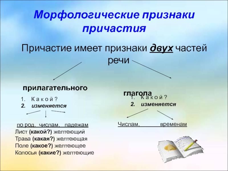 Причастие в русском языке презентация