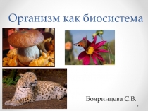 Презентация по биологии на тему организм как биосистема (11 класс)