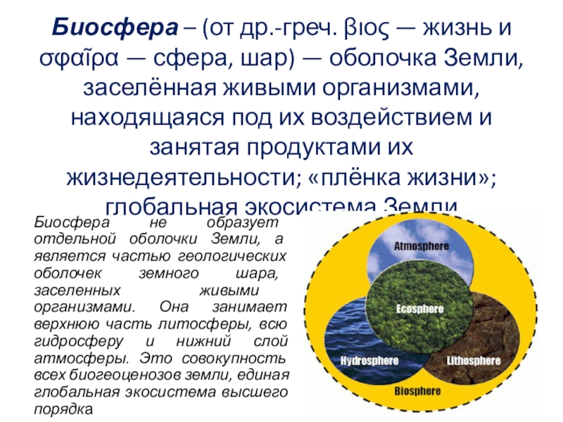 Сферы биосферы. Биосфера Глобальная экосистема учение в.и Вернадского о биосфере. Биосфера сфера жизни. Биосфера – сфера жизни, охватывает:. Основными оболочками земного шара являются.