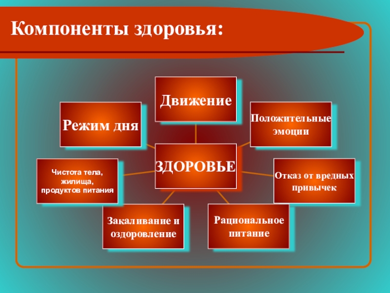 Компоненты здоровья человека. Компоненты здоровья. Основные компоненты здоровья. Укажите компоненты здоровья:. Каковы основные компоненты здоровья?.