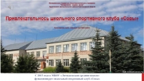 Портфолио школьного спортивного клуба Совы. Презентация Привлекательность ШСК Совы. Эссе.