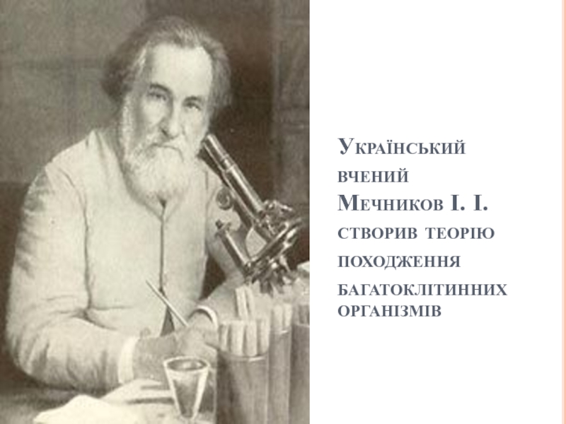 Сайт мечников владивосток. Мечников Илья Ильич молодой. Илья Ильич Мечников в университете. Илья Мечников в лаборатории. Мечников в детстве.